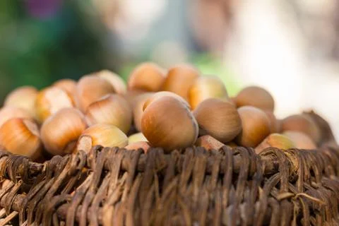 A basket of toasted hazelnuts inviting Stock Photos