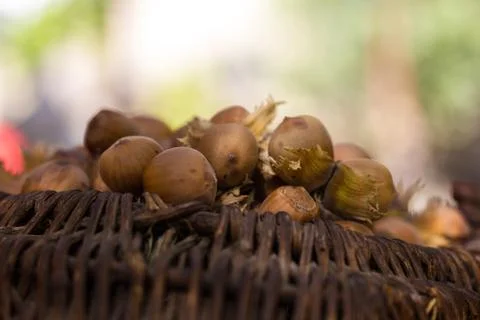 A basket of toasted hazelnuts inviting Stock Photos