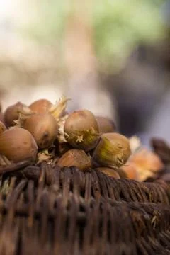 A basket of toasted hazelnuts inviting Stock Photos