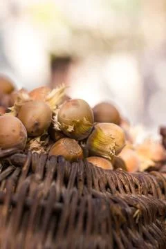 A basket of toasted hazelnuts inviting Stock Photos