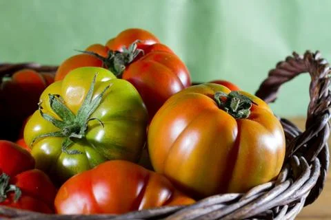 Basket with tomatoes Stock Photos