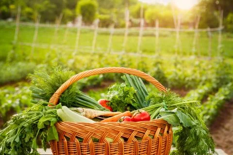 Basket with vegetable.Full basket with vegetable. Foto stock