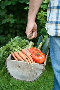 Basket with vegetables Foto stock