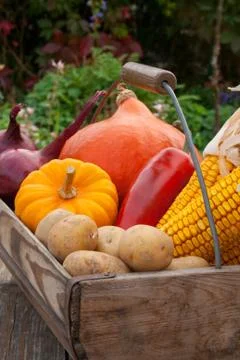 Basket with vegetables Stock Photos