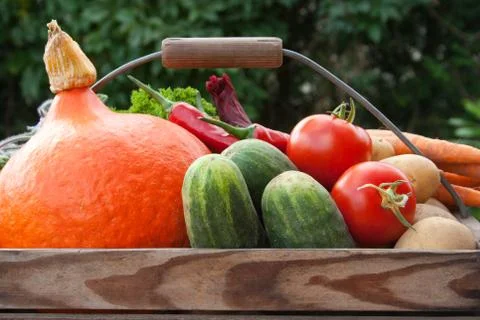 Basket with vegetables Stock Photos