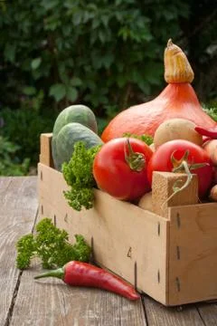 Basket with vegetables Stock Photos