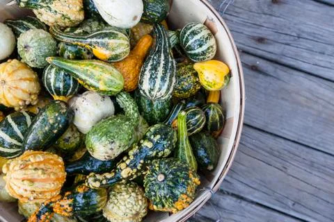 Basket of vegetables Stock Photos