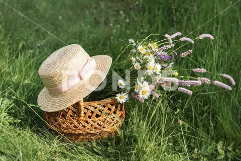 Basket with wildflowers Stock Photos
