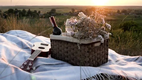 Basket with wine and ukulele on a sunset background Stock Footage 161827610