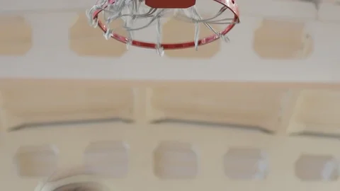 Basketball ball flies into the ring. Hit concept Stock Footage 125312232