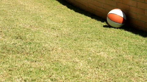 Basketball &amp; Brick Wall 스톡 동영상 790390