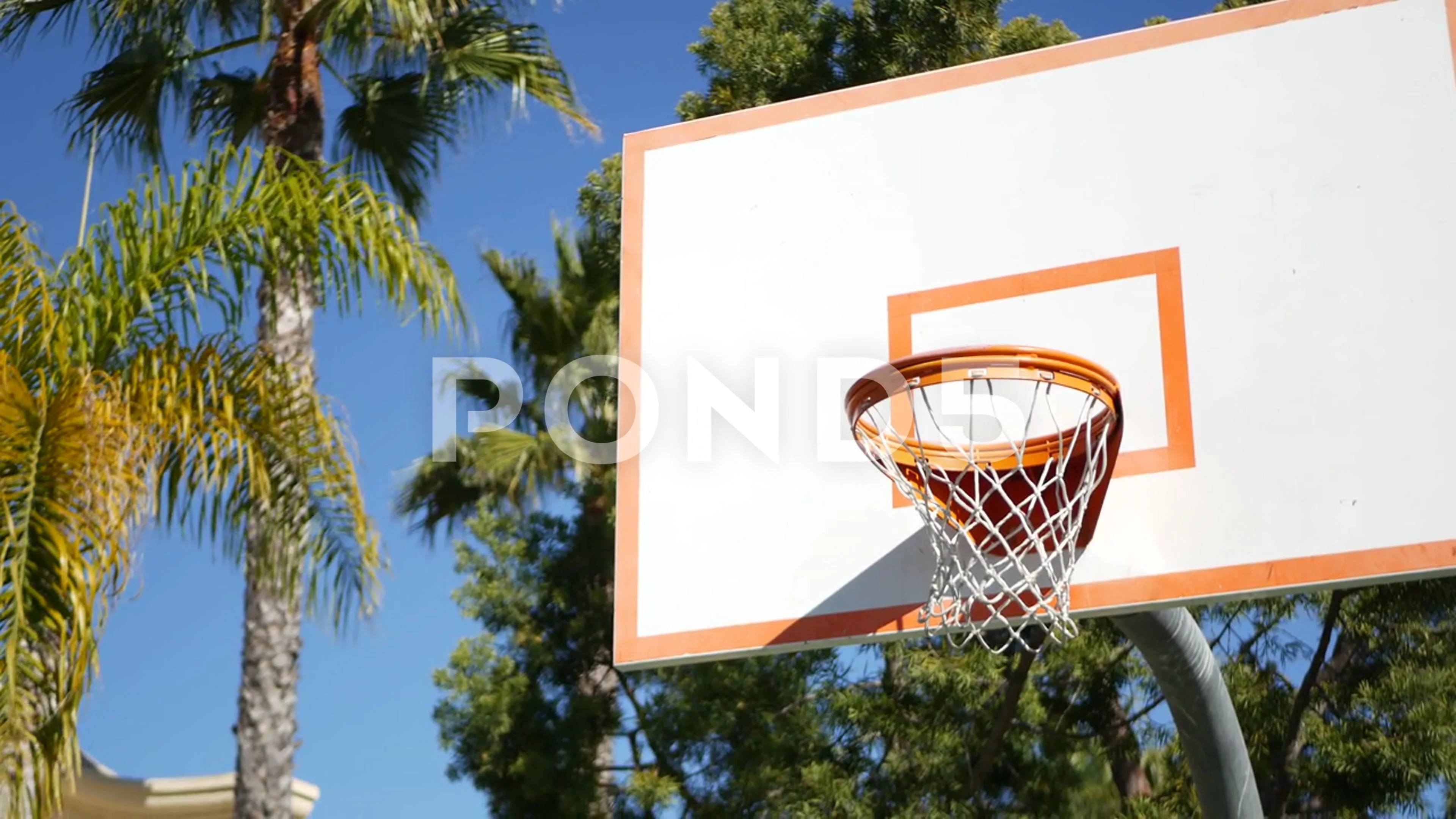 161 Basketball Transparent Background Stock Video Footage - 4K and HD Video  Clips