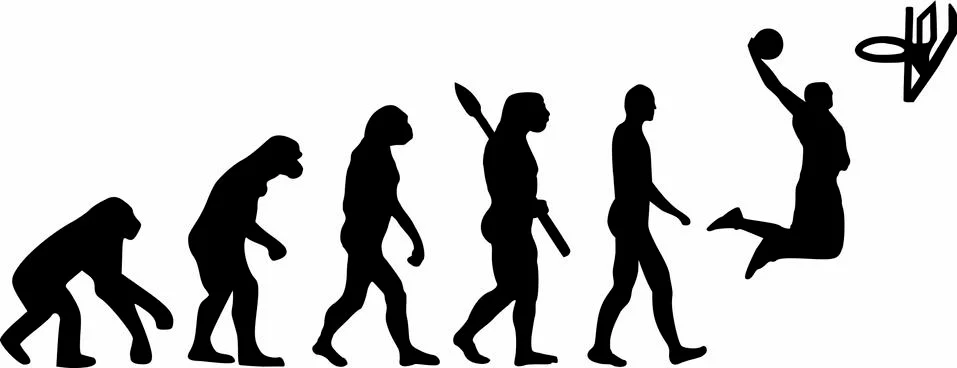 Basketball Evolution Stock Illustration