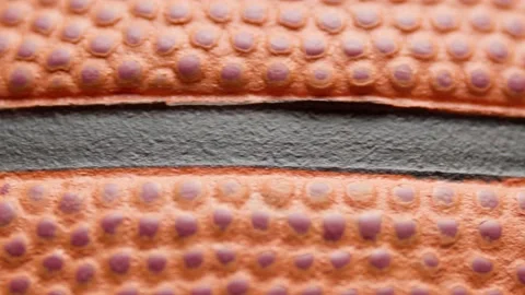 Basketball Stock Footage 147902120