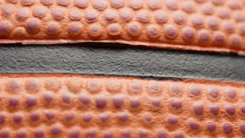 Basketball Stock Footage 147902140