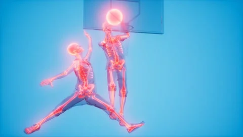 Basketball game players with visible bones Stock Footage 164640410