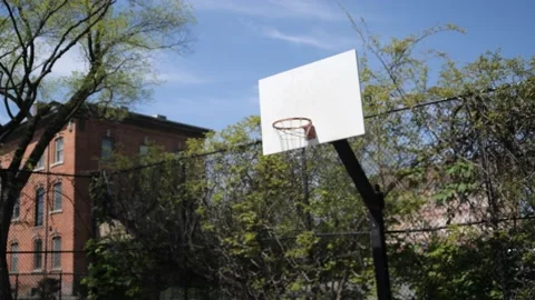 Basketball in Hoop Video stock 171341499