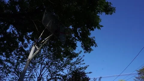 BASKETBALL HOOP 스톡 동영상 195954316