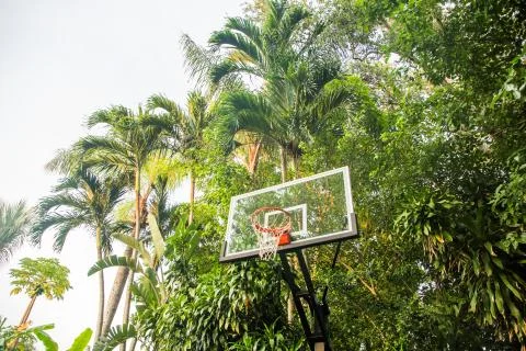 Basketball Hoop outdoors in tropical area trees and palnts in background Stock Photos