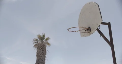 Basketball Hoop with Palm Tree In Background Stock Footage 89942991