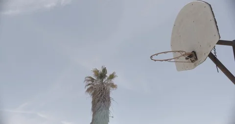 Basketball Hoop with Palm Tree In Background  - Pan Right Stock Footage 89942993