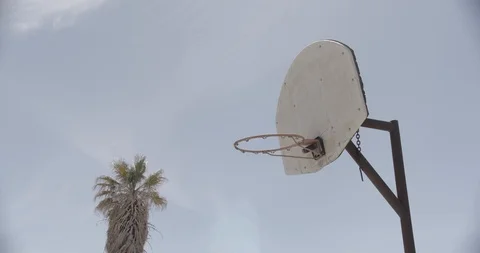 Basketball Hoop with Palm Tree In Background  - Tilt Down Stock Footage 89943005