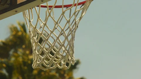 Basketball net, with palm tree background Stock Footage 127621464