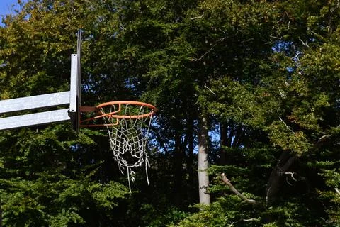 Basketball Stock Photos