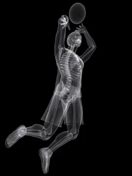 Basketball player; artwork Stock Illustration