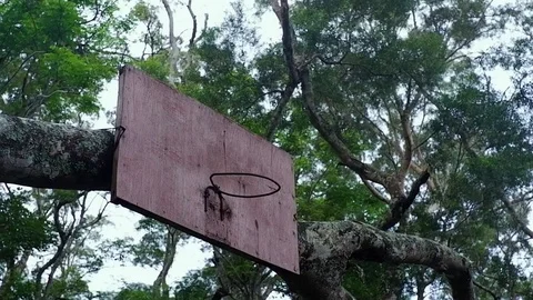 A basketball ring without a basket in the middle of the jungle. Video stock 122480132
