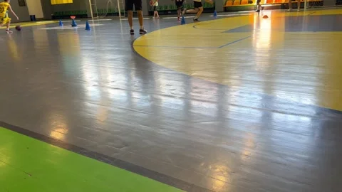 Basketball school Stock Footage 248308072
