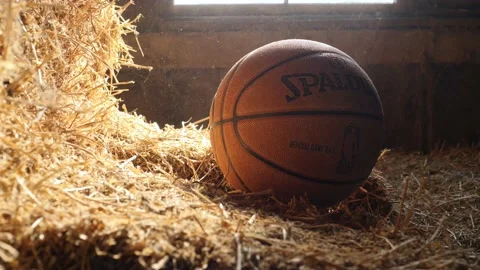 Basketball Sitting on Hay in a Barn 스톡 동영상 148331012