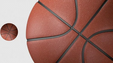 Basketball Transition Animation. 4 Items. 4K. Alpha Channel. Drag and Drop. Stock Footage 259669523
