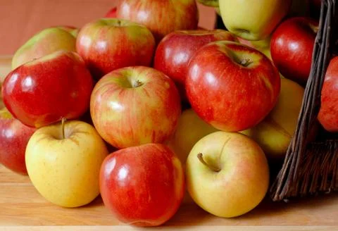 Basketfull of apples overflowing onto a table Stock Photos