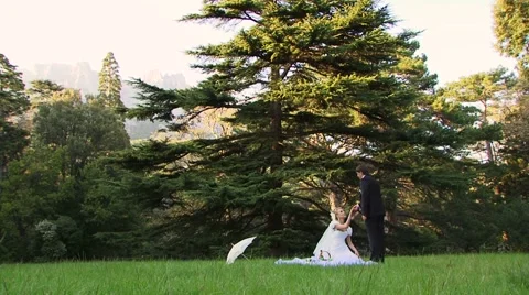 Basketpicnic Video stock 52485705