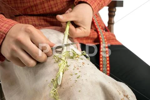 Basketry. Photo of boy barks a twig, close-up Stock Photos