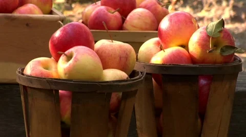 Baskets of apples out of doors Stock Footage 8571786