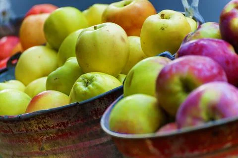 Baskets of apples Stock Photos