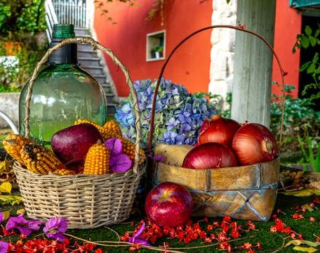 Baskets with corn cobs and onions between dried leaves Stock Photos
