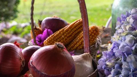Baskets with corn cobs and onions between dried leaves Stock Photos