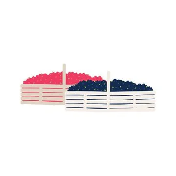 Baskets with cranberries, blueberries Stock Illustration