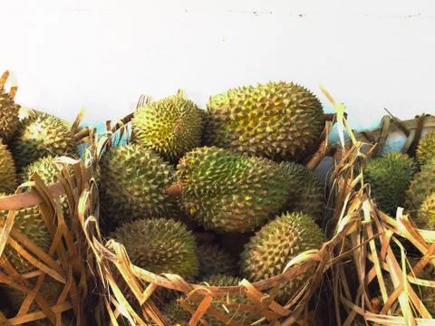 Baskets of durian Stock Photos