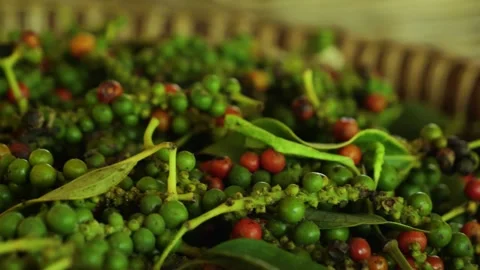 Baskets filled with fresh sorted green and red pepper  Kampot  Cambodia 库存影片 325829186