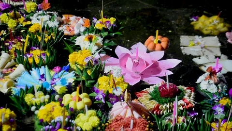 Baskets Float in a Lake in Phuket, Thailand Stock Footage 86202205