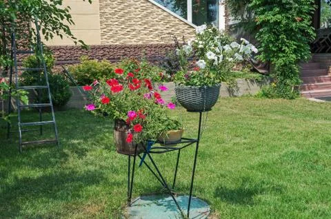 Baskets flower Stock Photos
