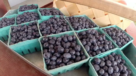 Baskets of fresh fruit berries at farmers market Stock Footage 53370342