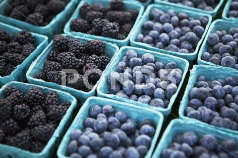 Baskets of Freshly Picked Blueberries and Blackberries at a Farmers Market Stock Photos