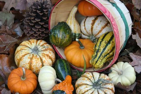 Baskets Of Gourds Stock-Fotos