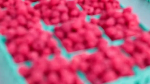 Baskets of raspberries rack focus Stock Footage 69187575