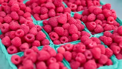 Baskets of raspberries static shot Stock Footage 69187686